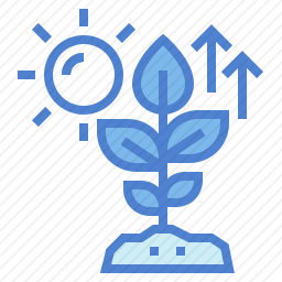 <em>植物</em>