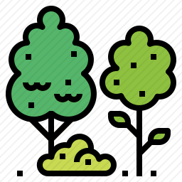 <em>森林</em>
