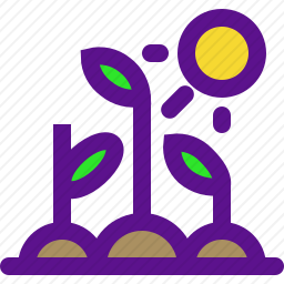 植物