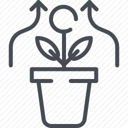 <em>植物</em>