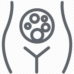 子宫