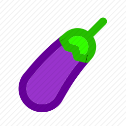 <em>茄子</em>
