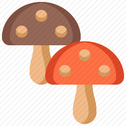 蘑菇