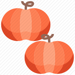 <em>南瓜</em>