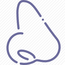 <em>鼻子</em>