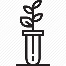 试管