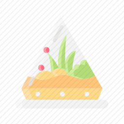 植物