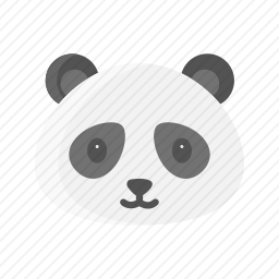 <em>熊猫</em>