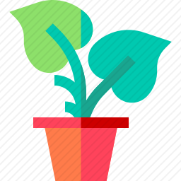 盆栽植物