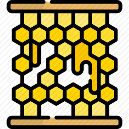 蜂巢