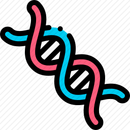 DNA