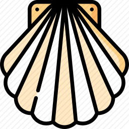 <em>贝壳</em>