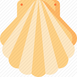 贝壳