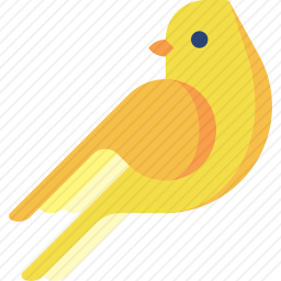 鸟