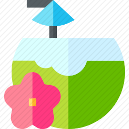 <em>椰子</em>