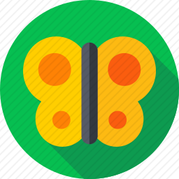 <em>蝴蝶</em>