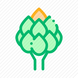 <em>朝鲜蓟</em>