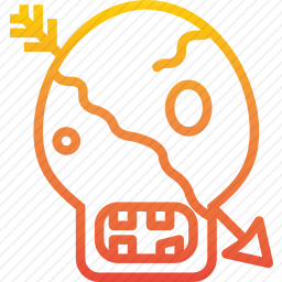 颅骨