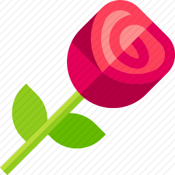 <em>玫瑰</em>