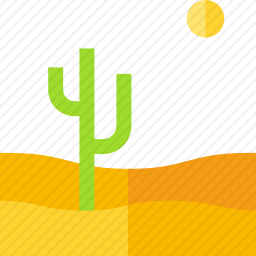 沙漠