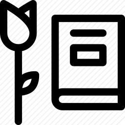 书与玫瑰