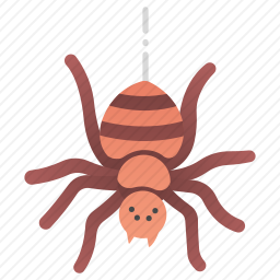 蜘蛛