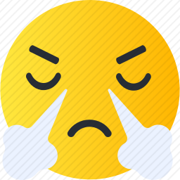 <em>愤怒</em>