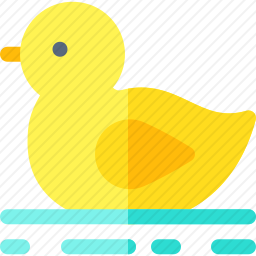 鸭子