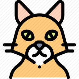 猫