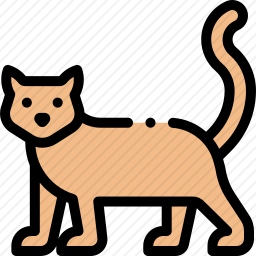 猫