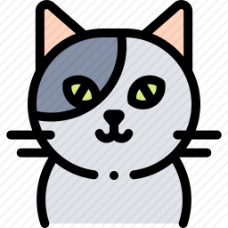 猫
