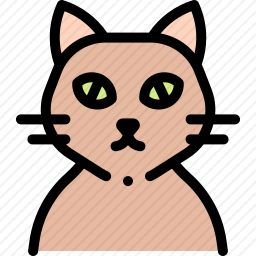 猫