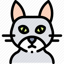 猫