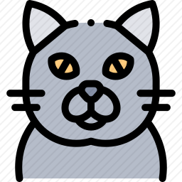 猫