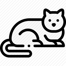 猫
