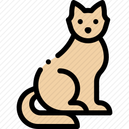 猫