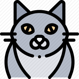 猫
