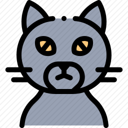 猫