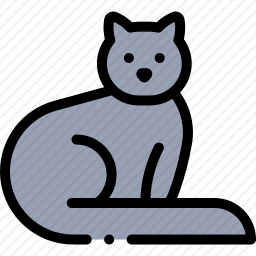 猫