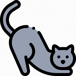 猫