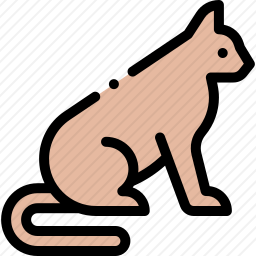 猫