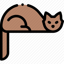 猫