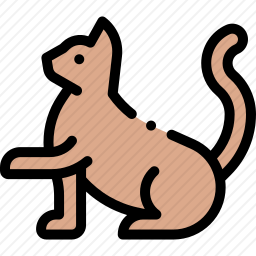 猫