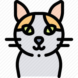 猫