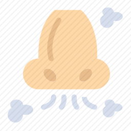 <em>鼻子</em>