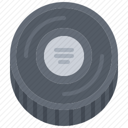 <em>曲棍球</em>