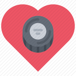 <em>曲棍球</em>
