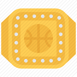 <em>戒指</em>