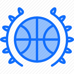 <em>篮球</em>