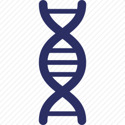 DNA